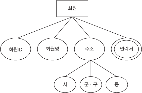 회원 엔터티 — 주소는 시·군구·동으로 나뉘는 복합 속성, 연락처는 이중원으로 표기된 다중값 속성